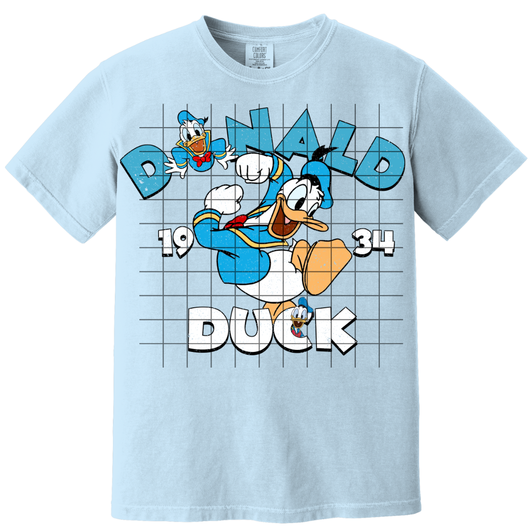 Blue Duck